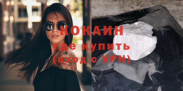 шишки Верея