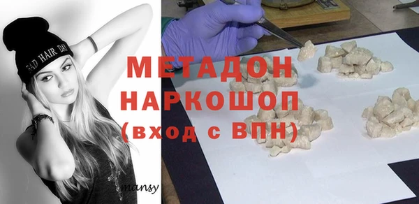 шишки Верея