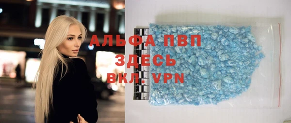 шишки Верея