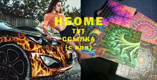 шишки Верея