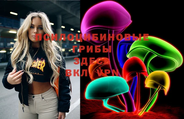 шишки Верея
