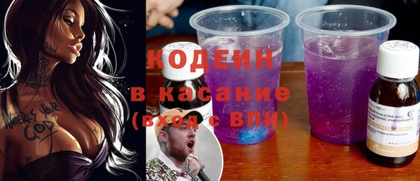 шишки Верея