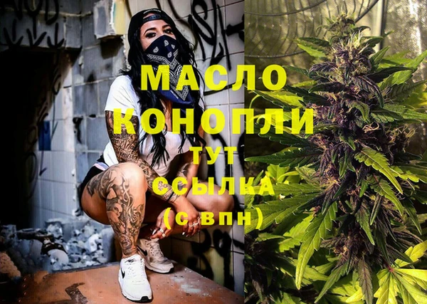 шишки Верея