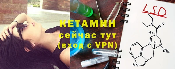шишки Верея