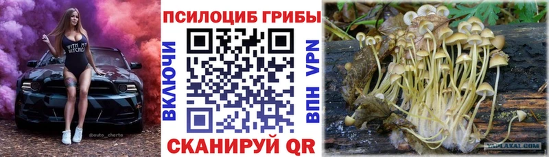 Галлюциногенные грибы Psilocybe  shop телеграм  Снежинск 