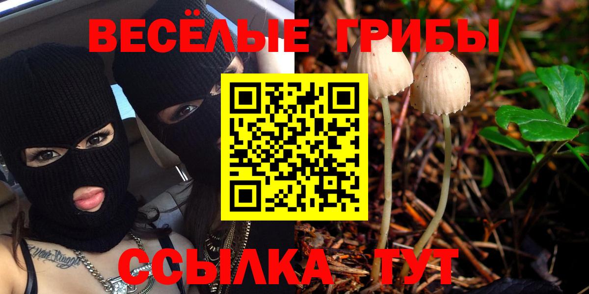Галлюциногенные грибы Cubensis  Вход с VPN  Псилоцибиновые грибы мухоморы  Снежинск 